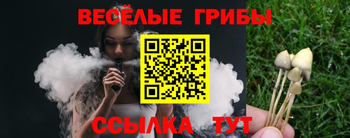 Псилоцибиновые грибы Magic Shrooms  Вход с VPN  Волжск  Псилоцибиновые грибы Cubensis 